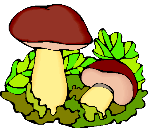 ...грибов